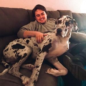 Meet your Posher, Matthew